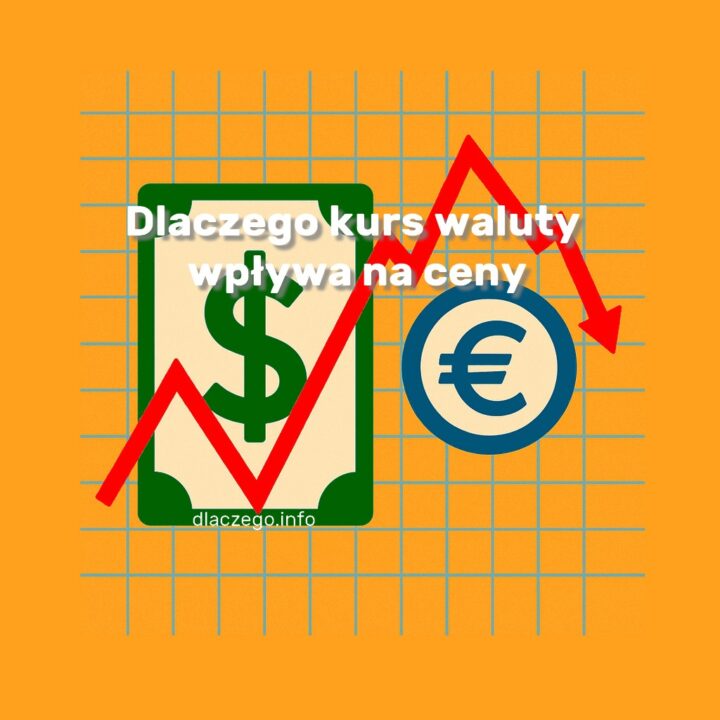 Dlaczego.info- kurs waluty wpływa na cen y-10 przyczyn